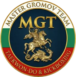 Master Gromov Team